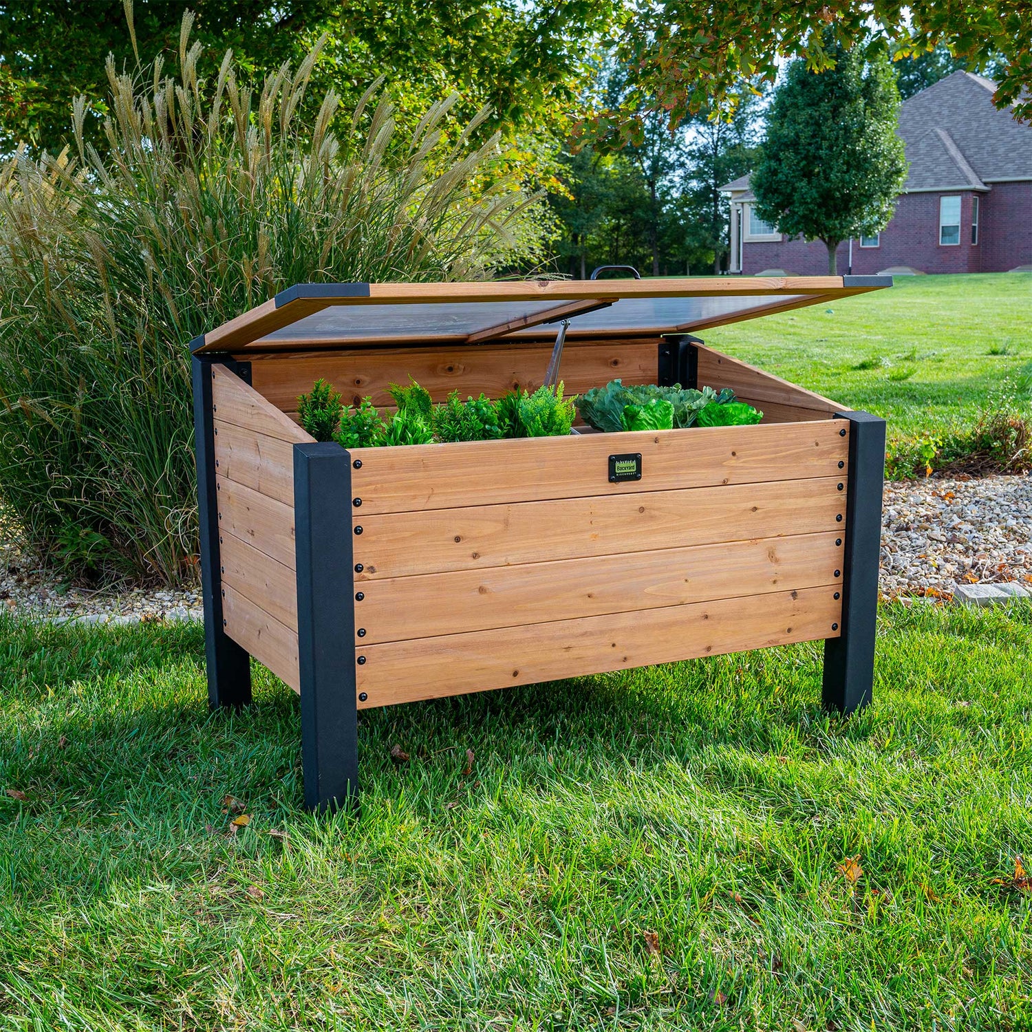 Aggie Cold Frame Box — Backyard Discovery cedar greenhouses
